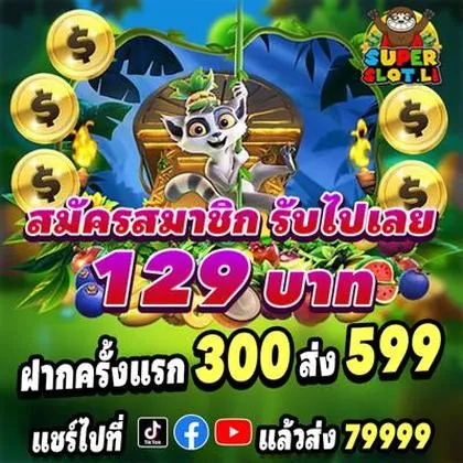 1133WIN 1133WIN