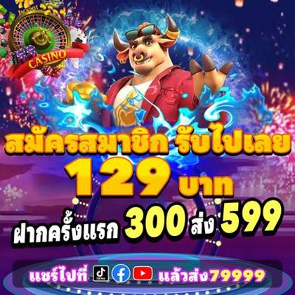1133WIN